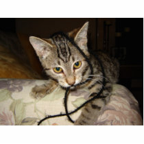 Fan of the strings photo sculptures by rocknca Fan of the strings photo sculptures
