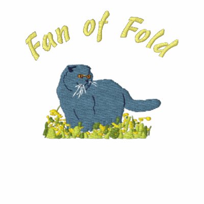 Fan off fold embroidery spring