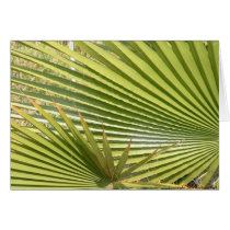 Fan palms cards