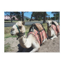 Fancy a Ride? Stretched Canvas Print