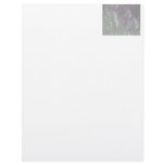 Fancy Bird Feathers Letter head Letterhead Template