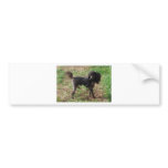 Fancy Black Prancing Poodle Bumper Stickers
