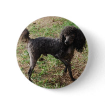 Fancy Black Prancing Poodle Pin