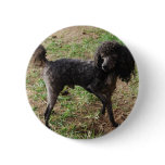 Fancy Black Prancing Poodle buttons