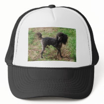 Fancy Black Prancing Poodle Mesh Hat