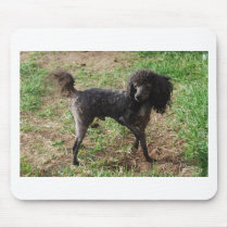 Fancy Black Prancing Poodle Mouse Pads