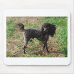 Fancy Black Prancing Poodle Mouse Pads