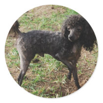 Fancy Black Prancing Poodle Round Sticker