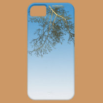 Fancy Branch casemate cases