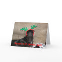 Fancy Christmas Card