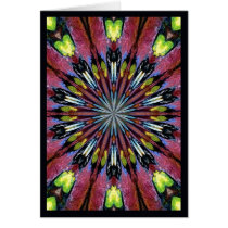 Fancy Dancer cards by owlspook Fancy Dancer cards