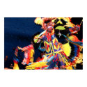 Fancy Dancer posters by kdpurdy Fancy Dancer posters