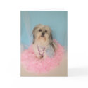 Fancy Dog Birthday Card