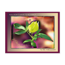 Fancy & Fabulous Postcard