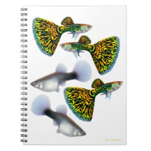 Fancy Fantail Guppies Notebook