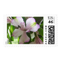Fancy Flower .64 Postage Stamp