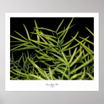 Fancy Foilage I Print