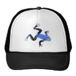 Fancy Frog Hats