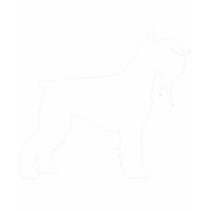 Fancy Giant Schnauzer (white) t-shirts