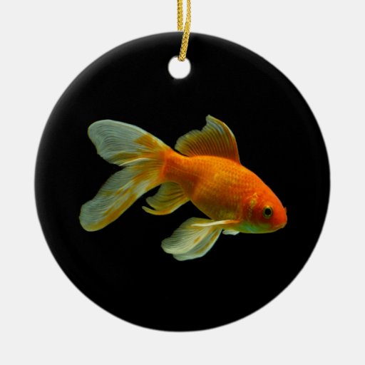 Fancy Goldfish Christmas Ornament Zazzle
