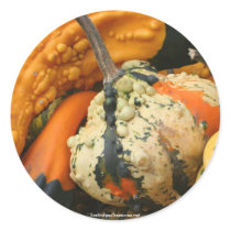 Fancy Gourds Nature Photo Sticker Label by SmilinEyesTreasures Fancy Gourds Nature Photo Sticker Label