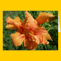 Fancy Lily Greeting/Note Card