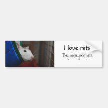 Fancy rat bumper sticker