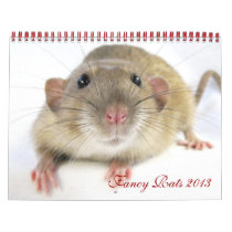 Fancy Rats 2013 Calendar calendars