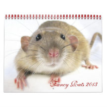 Fancy Rats 2013 Calendar