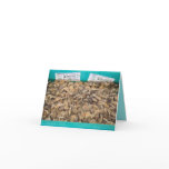 photo, live, seafood, restaurant, invitation,