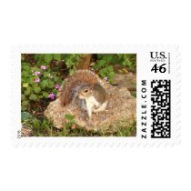 Fancy Squirrel postage