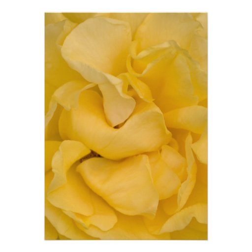 Fancy Yellow Rose Graduation Party Invitation