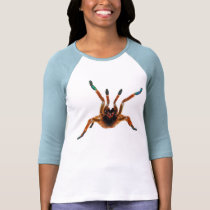 Fangs - Starburst Baboon Tarantula t-shirts by insectgeeks Fangs - Starburst Baboon Tarantula t-shirts