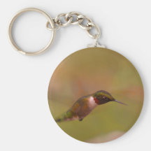 Fanning the Air Key Chains