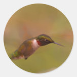Fanning the Air Round Stickers