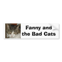 fanny and the bad cats, Fanny and the Bad Cats bumper stickers by fannycat fanny and the bad cats, Fanny and the Bad Cats bumper stickers