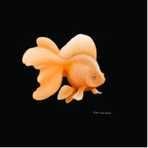 Fantail Goldfish photo sculptures by twopurringcats Fantail Goldfish photo sculptures