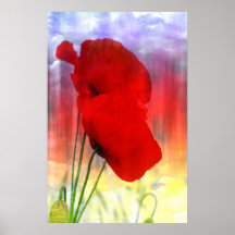 Fantasía amapola poster