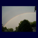Fantastic Double Rainbow posters