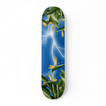 Fantasy Bird-of-Paradise skateboard