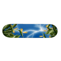 Fantasy Bird-of-Paradise skateboard