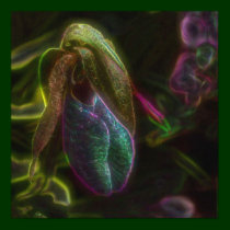 Fantasy Blue Lady Slipper Flower Poster posters