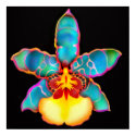 Fantasy Colored Orchid Flower Poster posters