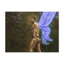 Fantasy Fairy in the Woods 1 postcards