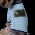 Fantasy Fairy in the Woods 2 Antiqued pet clothing by ScienceFictionArt Fantasy Fairy in the Woods 2 Antiqued pet clothing