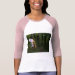 Ladies 3/4 Sleeve Raglan (Fitted)