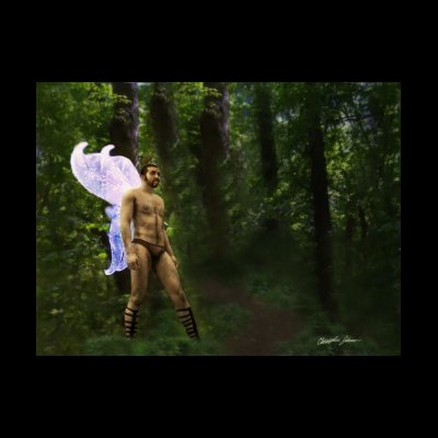 Fantasy Fairy in the Woods 2 Shirt by ScienceFictionArt