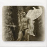 Fantasy Fairy in the Wood...