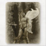 Fantasy Fairy in the Wood...