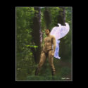 Fantasy Fairy in the Woods 3 postcards by ScienceFictionArt Fantasy Fairy in the Woods 3 postcards